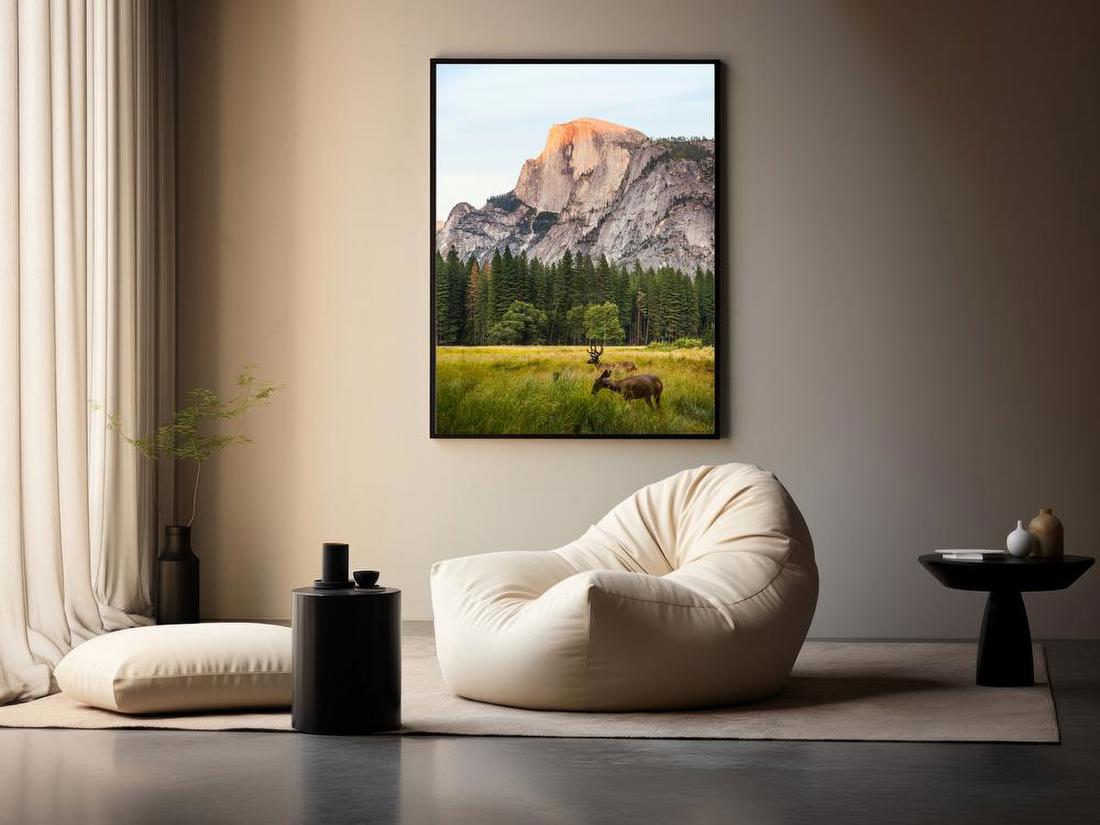 Deer in Mountain Meadow