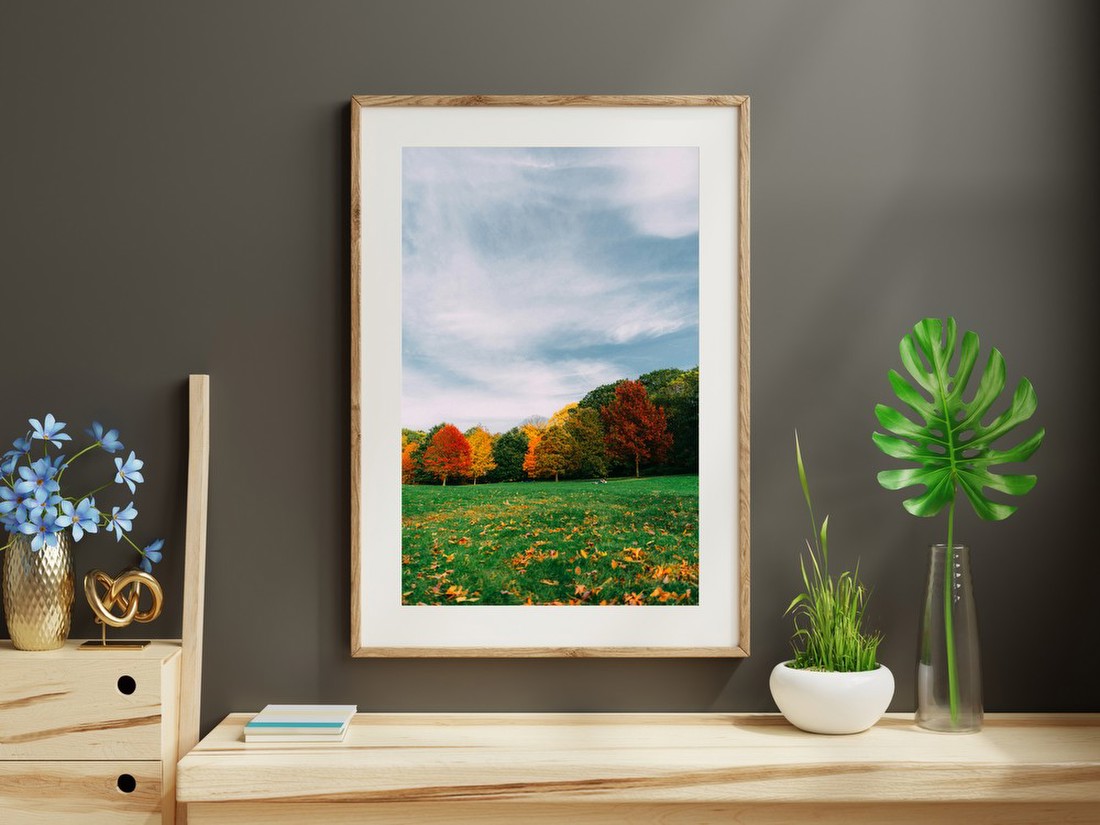 Autumn Park Vista