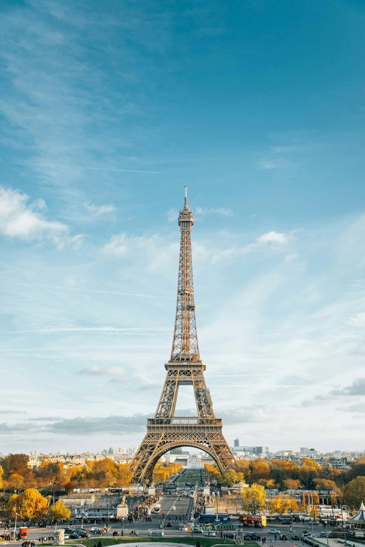 Eiffel Tower View