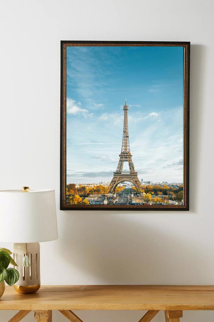 Eiffel Tower View