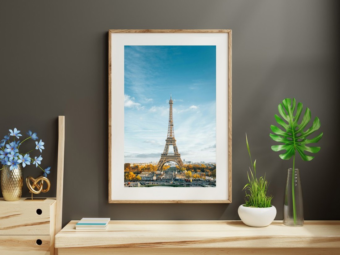 Eiffel Tower View