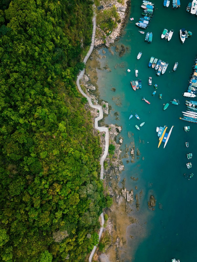 Coastal Path and Harbor from Above