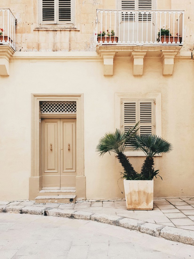 Mediterranean Facade with Palm