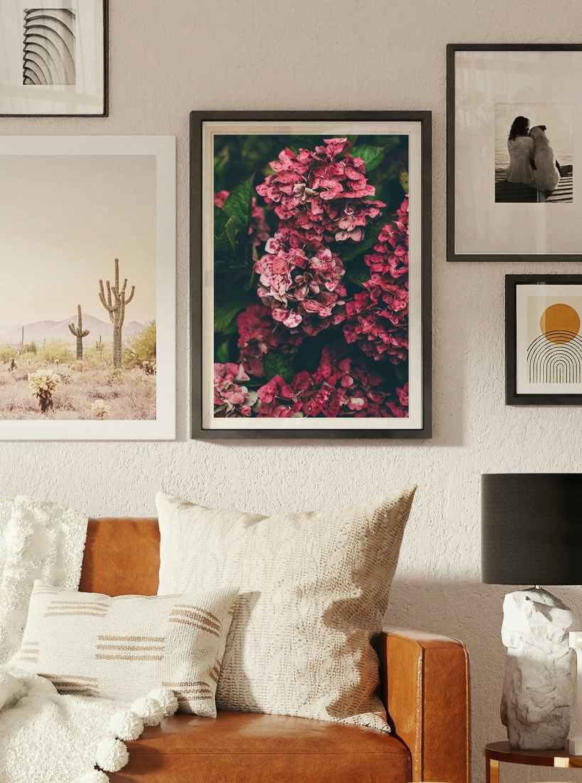 Spotted Pink Hydrangeas
