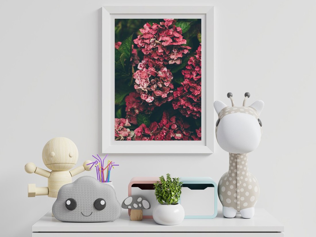 Spotted Pink Hydrangeas