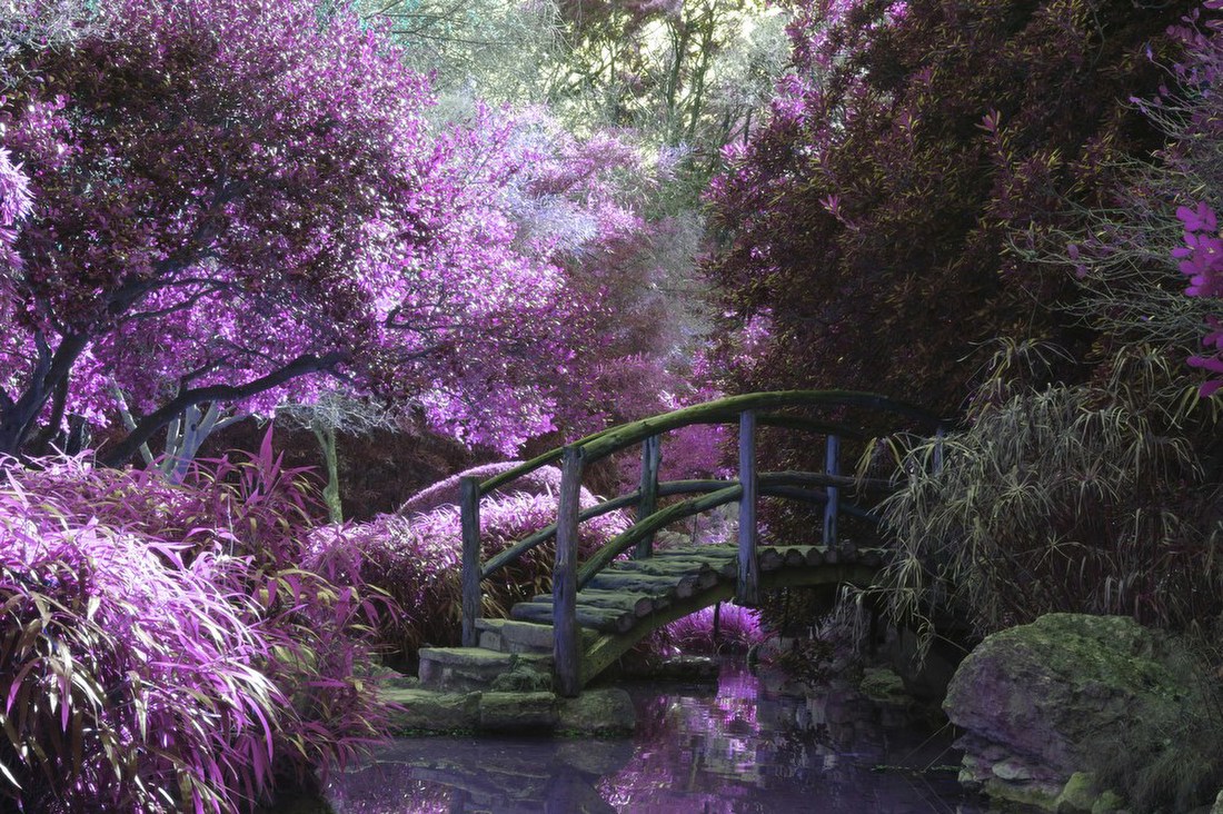 Dreamlike Garden Bridge