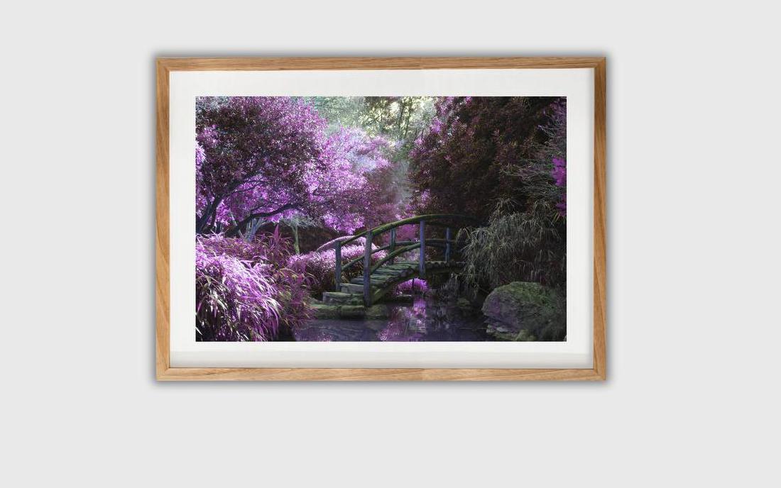 Dreamlike Garden Bridge