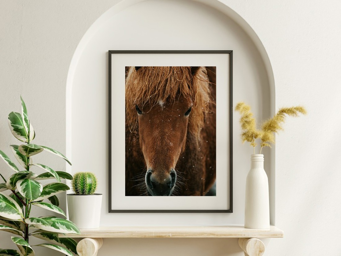Horse in Snow