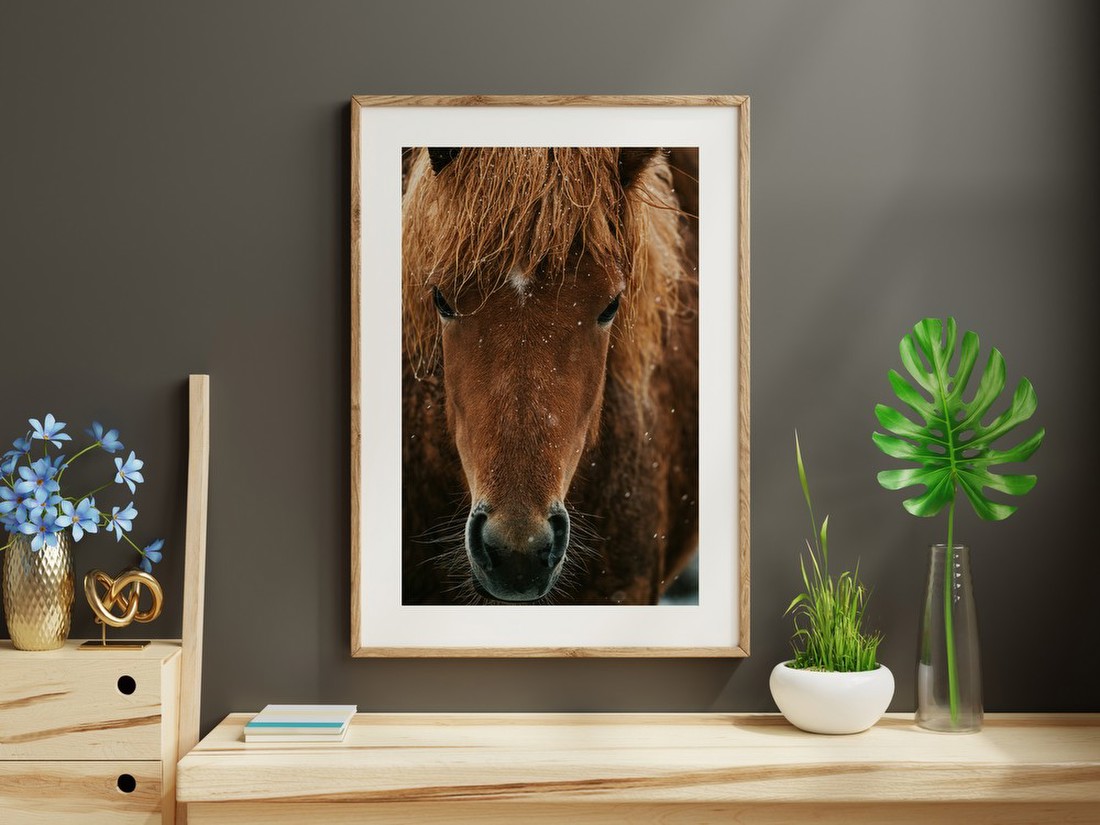 Horse in Snow