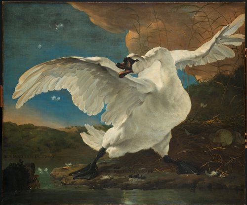 The Threatened Swan
