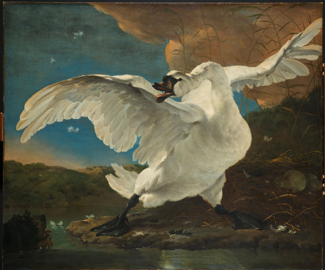The Threatened Swan – Jan Asselijn