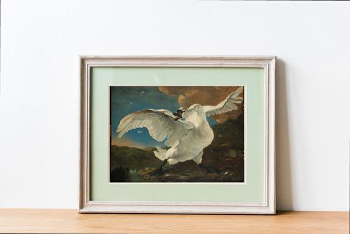 The Threatened Swan