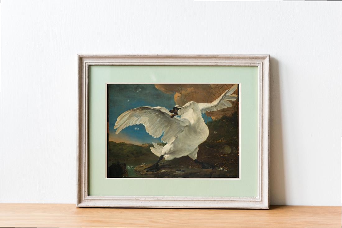 The Threatened Swan – Jan Asselijn