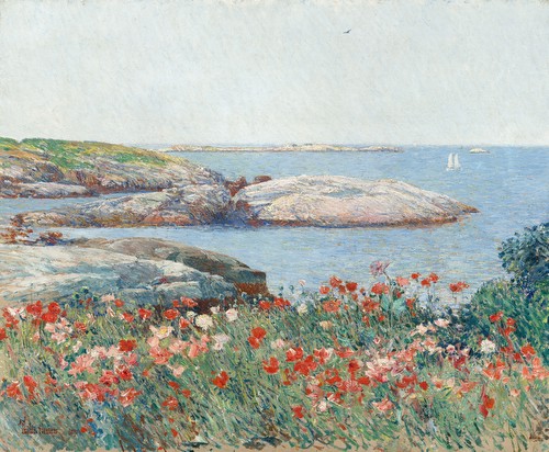 Poppies on the Isles of Shoals