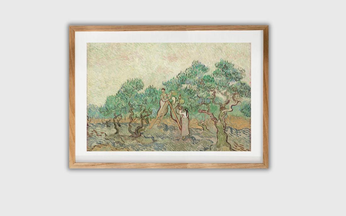 Olive Orchard – Vincent van Gogh