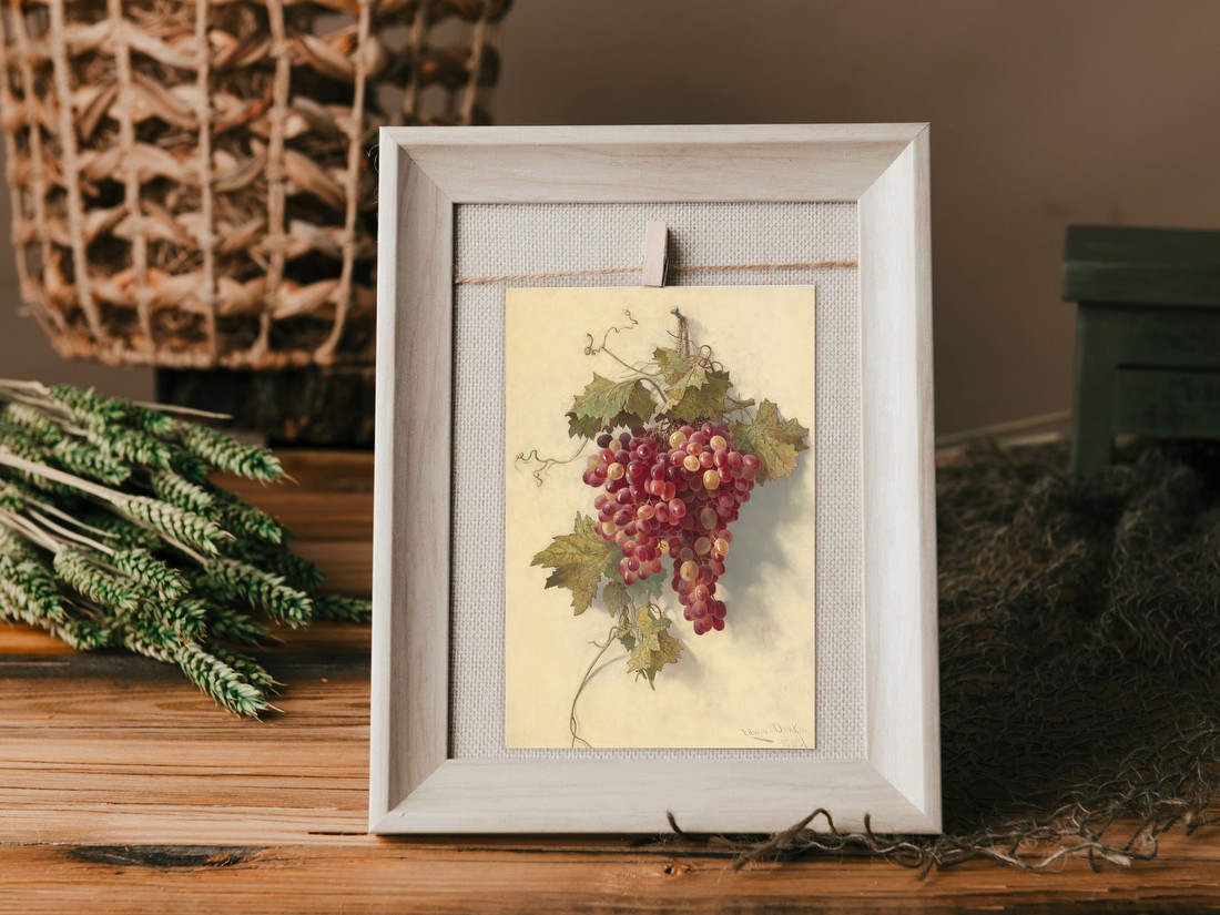 Grapes Against White Wall – Edwin Deakin