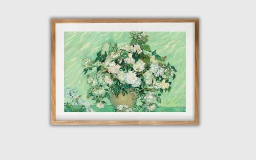 Roses