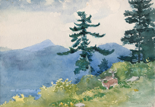 North Woods Club, Adirondacks
