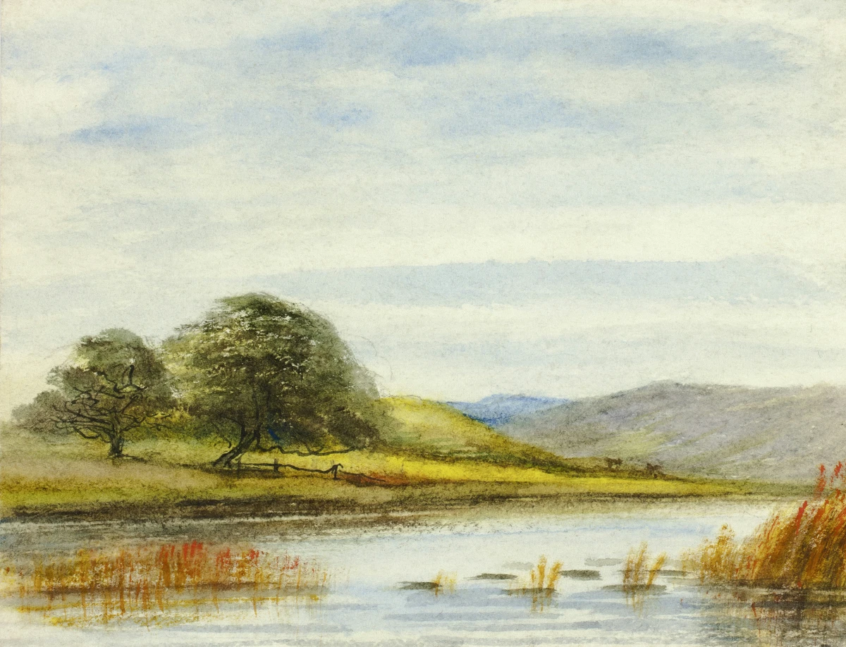Marshy Landscape – Unknown Artist