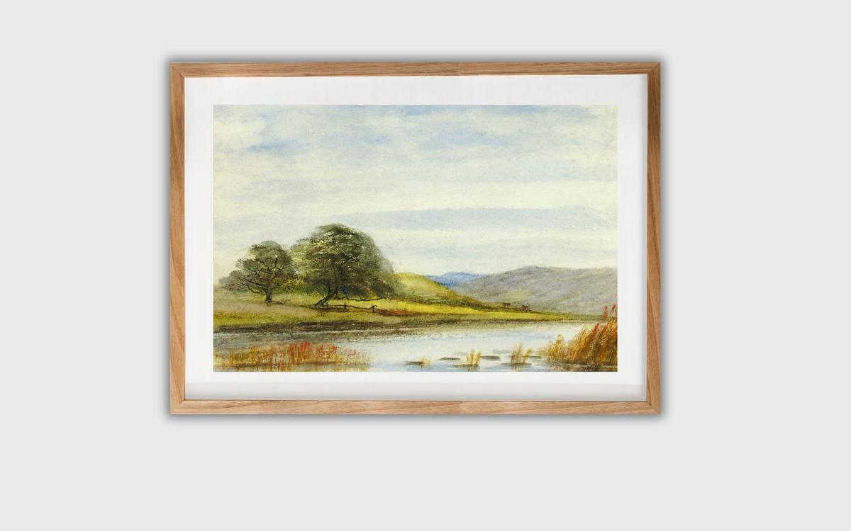 Marshy Landscape – Unknown Artist