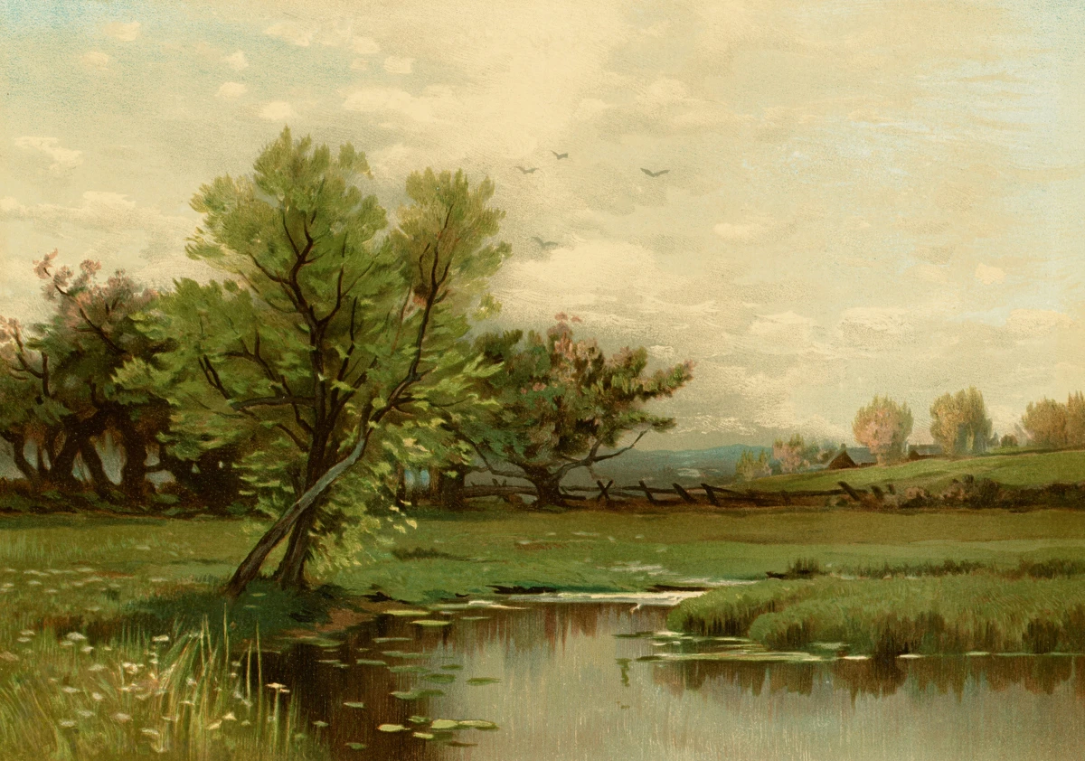 Pastoral Pond Landscape