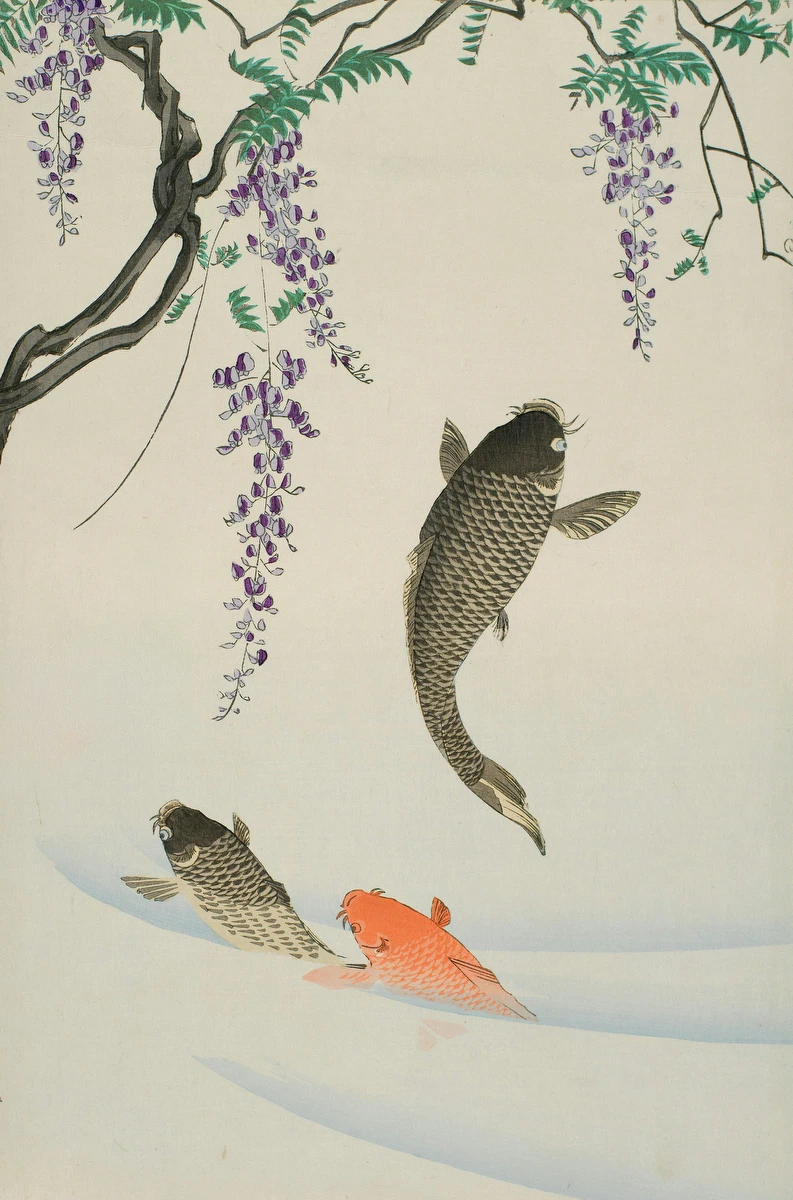 Leaping Carp and Wisteria – Toyohara Chikanobu