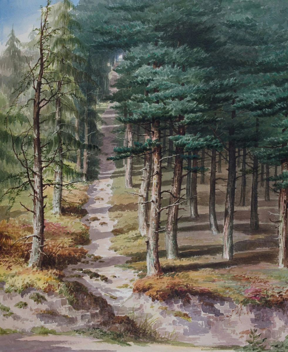 Rednal Wood – Elijah Walton