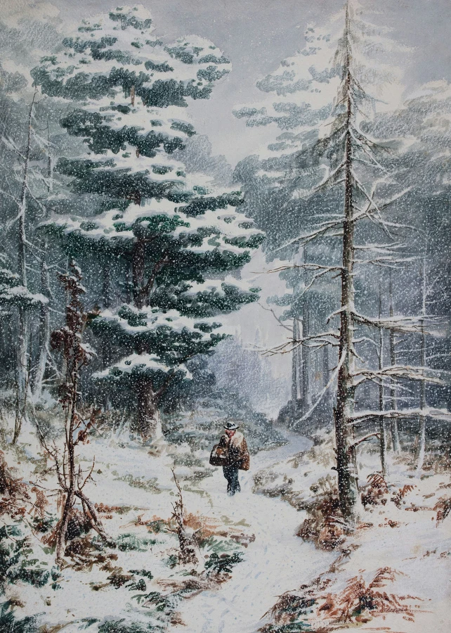 Forest & Countryside