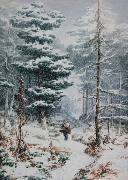 Rednal Wood, Winter