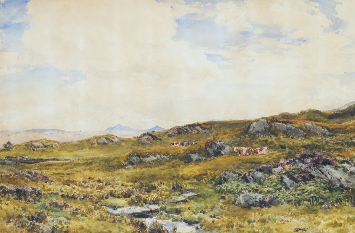 Near Llyn Helsi, North Wales, Afternoon – Thomas Collier
