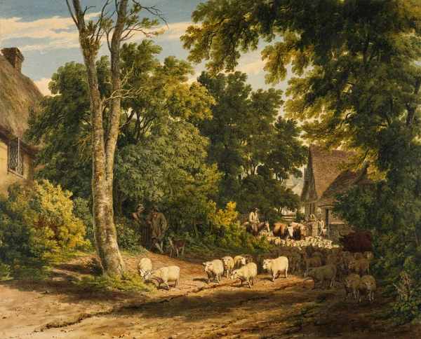 Driving Home The Flock
