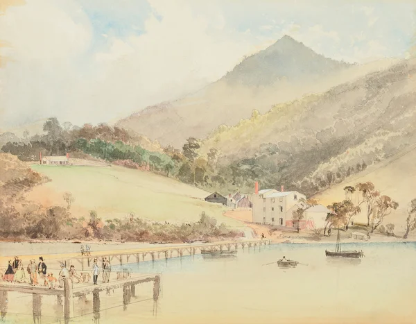 Near Port Chalmers