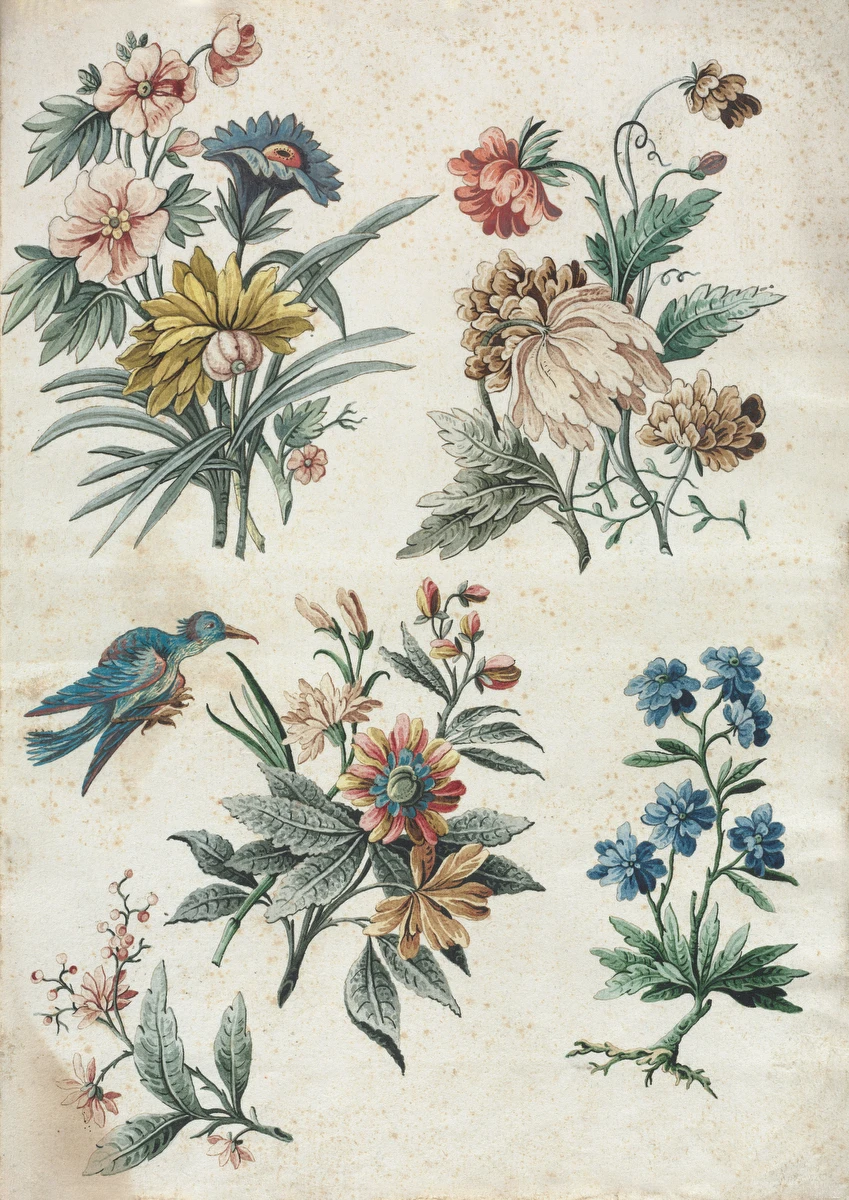 Floral Designs with a Blue Bird – Giacomo Cavenezia
