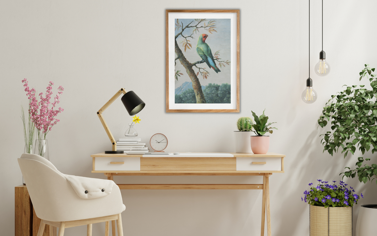 Bird Study: Rosy Faced Love Bird – George Edwards