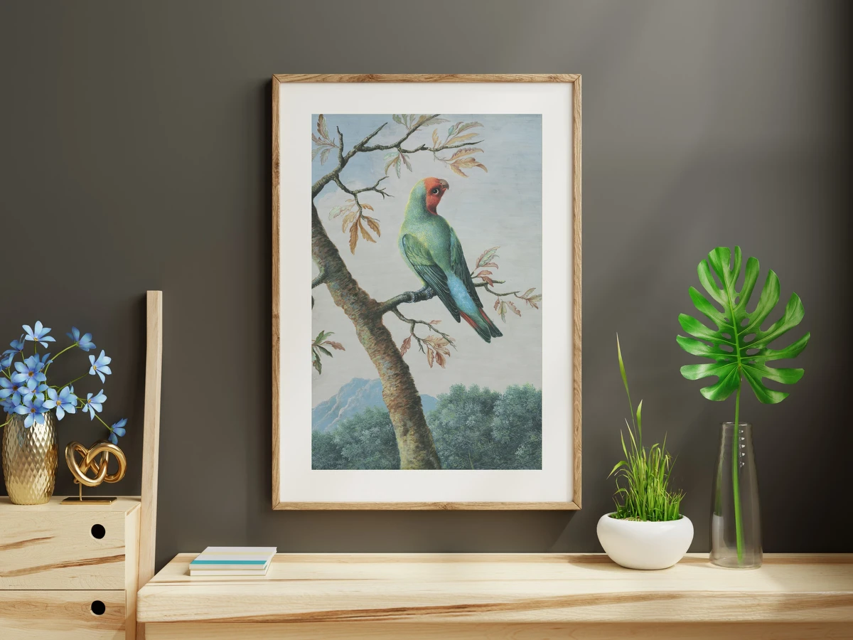 Bird Study: Rosy Faced Love Bird – George Edwards