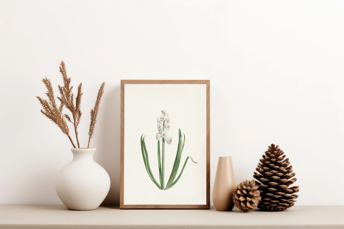 The White Hyacinth Crown of Great Britain – Jan Augustini