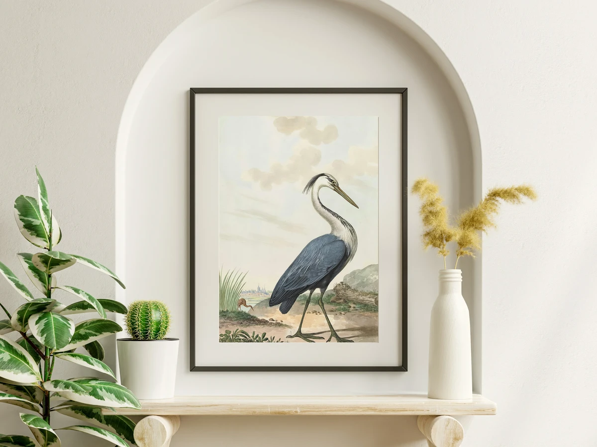 Blauwe Reiger – Jabes Heenck