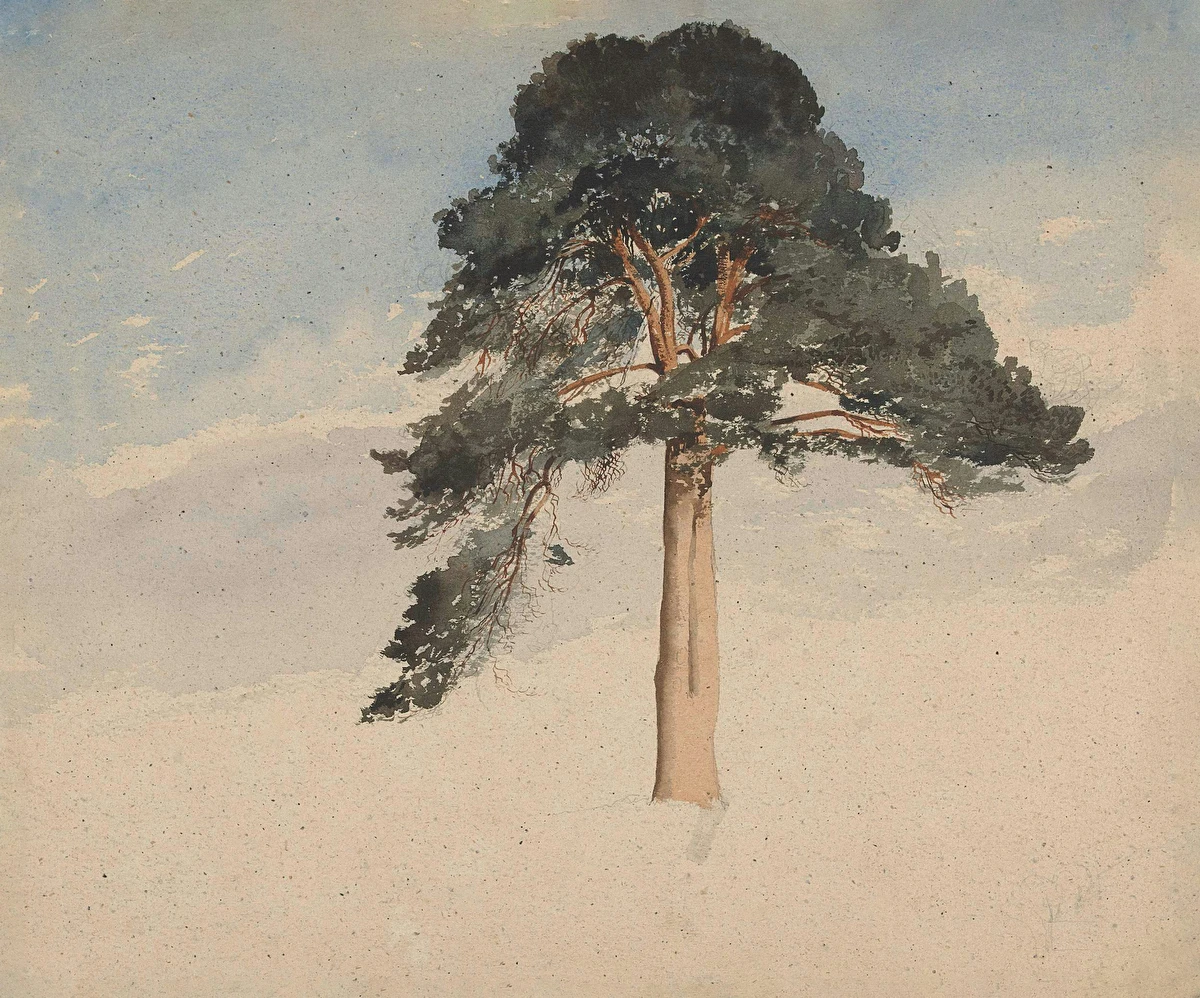 Scots Pine – William Leighton Leitch