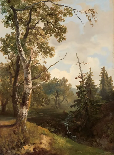 Bosgezicht bij Wolfheze