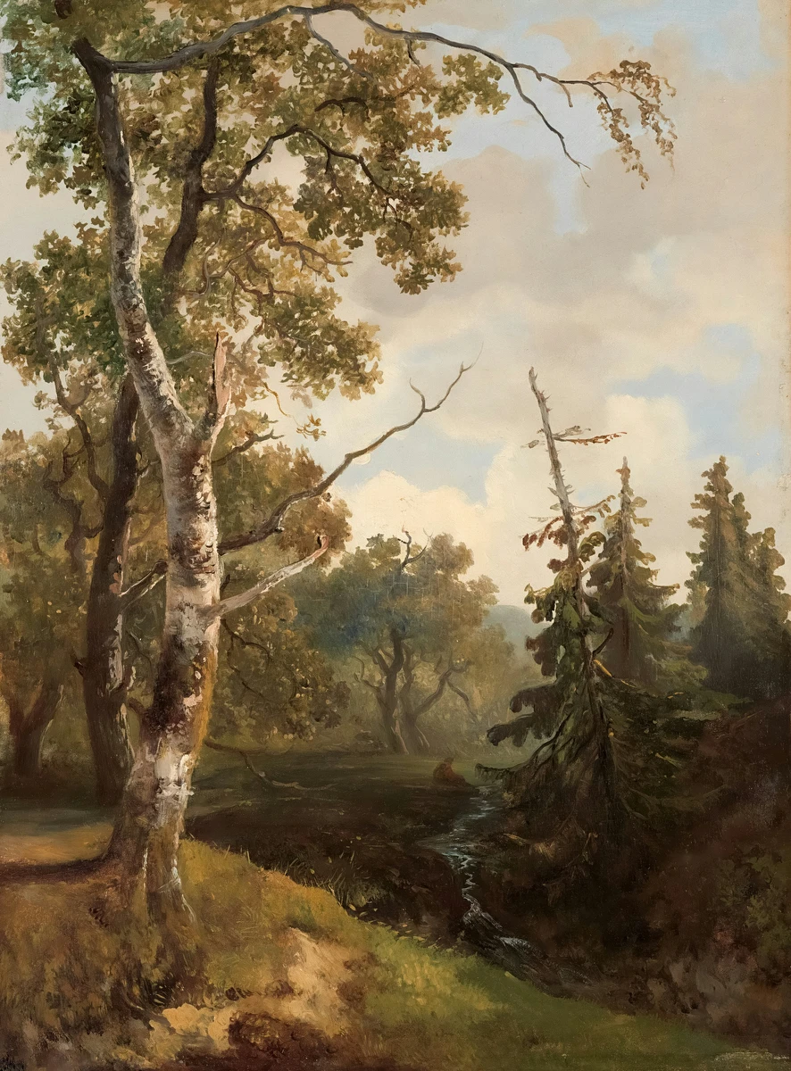 Bosgezicht bij Wolfheze – Johannes Warnardus Bilders