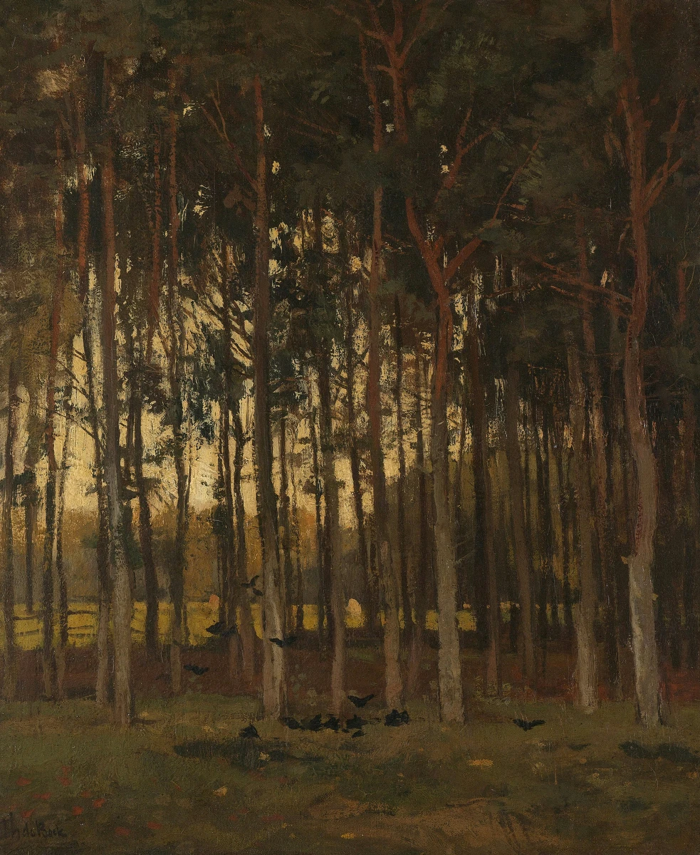 Bosgezicht – Théophile de Bock