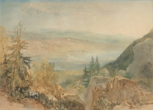 Mountain Valley Landscape